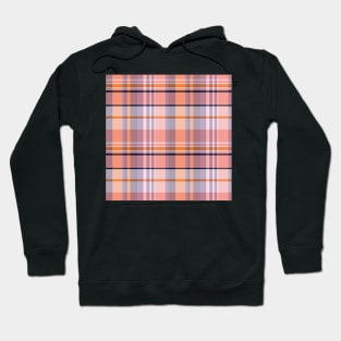 Summer Aesthetic Iona 1 Hand Drawn Textured Plaid Pattern Hoodie